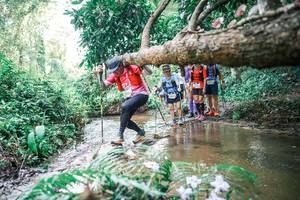 BIB: 
                            <button type="button" onclick="openModal(25474805)" class="btn btn-primary btn-sm float-right btn-popup" data-toggle="modal" data-target=".modal-high-quality">
                        <i class="fas fa-shopping-cart"></i> Add to Cart
                    </button>
                                            <button type="button" onclick="isThisMe(25474805, true)" class="btn btn-success btn-sm float-right btn-popup btn-isme hidden" data-toggle="tooltip" data-placement="bottom" title="นี่คือรูปของคุณใช่ไหม คลิกที่นี่เพื่อเอาเข้าอัลบั้ม">
                        <i class="fas fa-plus"></i> Add to album
                    </button>
                    <button type="button" onclick="isThisMe(25474805, false)" class="btn btn-warning btn-sm float-right btn-popup btn-isnotme hidden">
                        <i class="fas fa-ban"></i> Remove from album
                    </button>